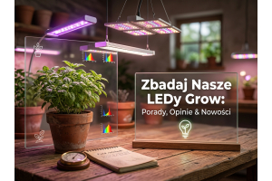 Lampy LED do uprawy roślin – jak wybrać odpowiednie oświetlenie?