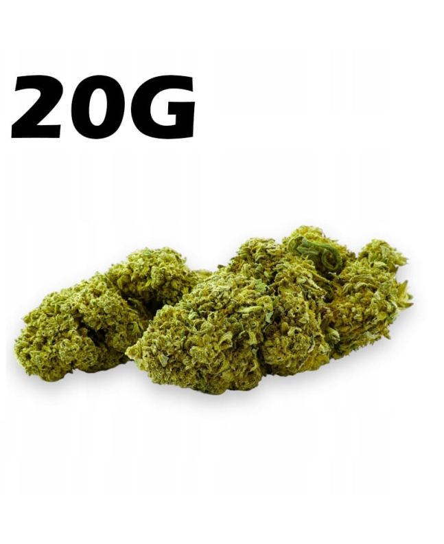 Susz konopny CBD 4,2% Amnesia Haze 20g