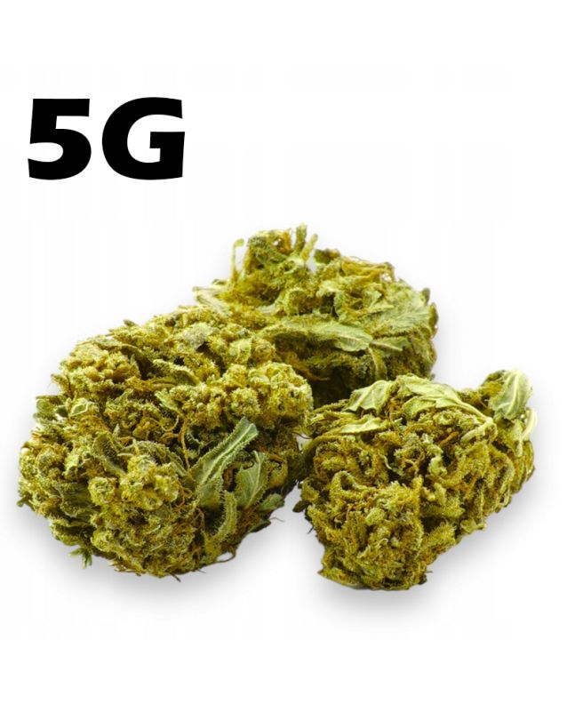 Susz konopny CBD 4% Lemon Haze 5g