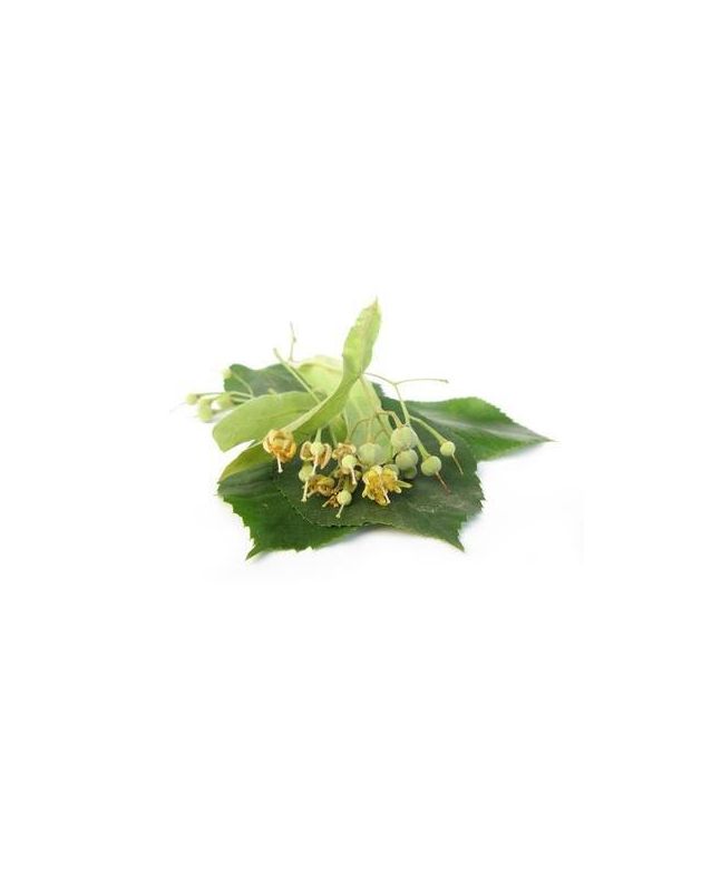 Lipa 15g