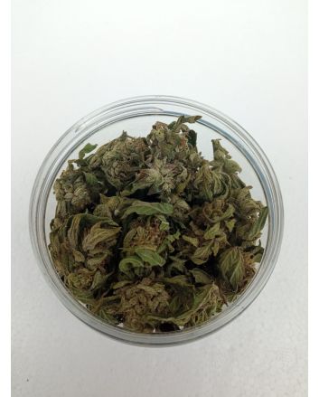 Susz CBG kwiaty konopi 10 grams 13% CBG cannabigerol