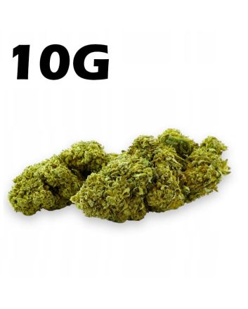 Susz konopny CBD 4,2% Amnesia Haze 10g