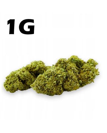 Susz konopny CBD 4,2% Amnesia Haze 1g