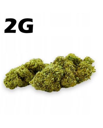 Susz konopny CBD 4,2% Amnesia Haze 2g