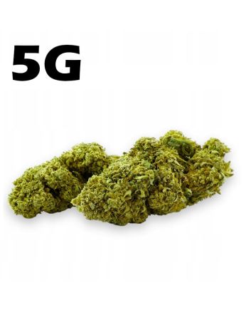 Susz konopny CBD 4,2% Amnesia Haze 5g