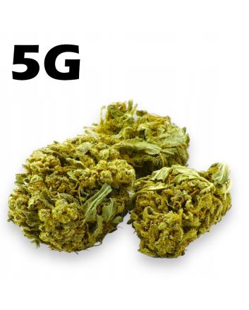 Susz konopny CBD 4% Lemon Haze 5g