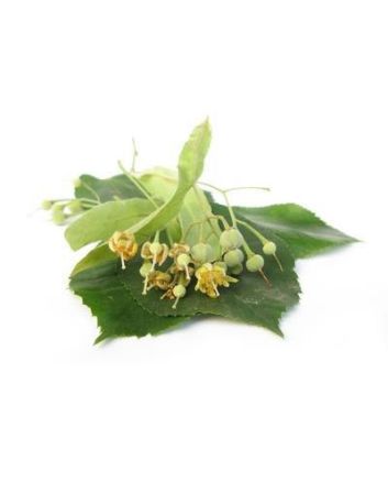 Lipa 15g