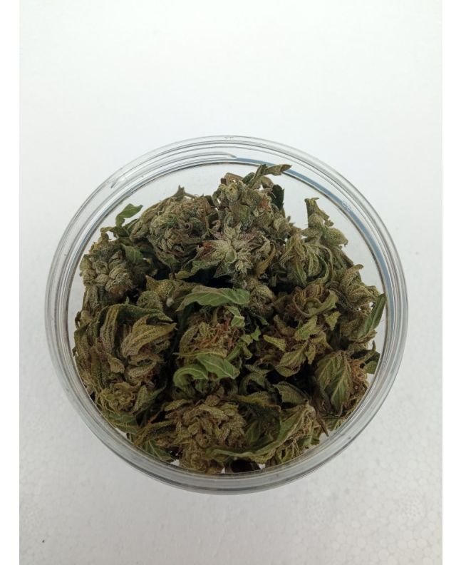 CBG dried hemp flowers 10 grams 13% CBG cannabigerol